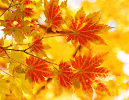 The future starts here